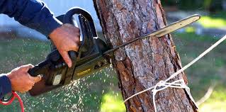 Best Arborist Consultation Services  in Margaret, AL