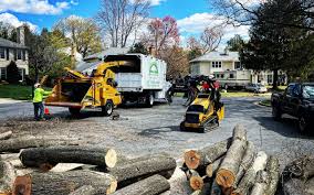 Best Commercial Tree Services  in Margaret, AL
